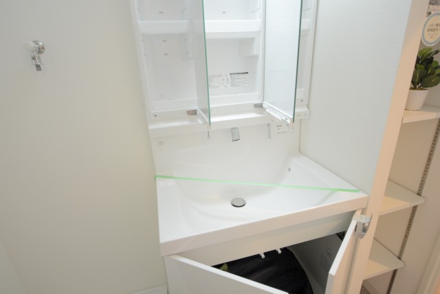 おおとりスカイホーム (61)洗面