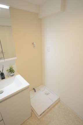 ダイアパレス自由が丘 洗面室