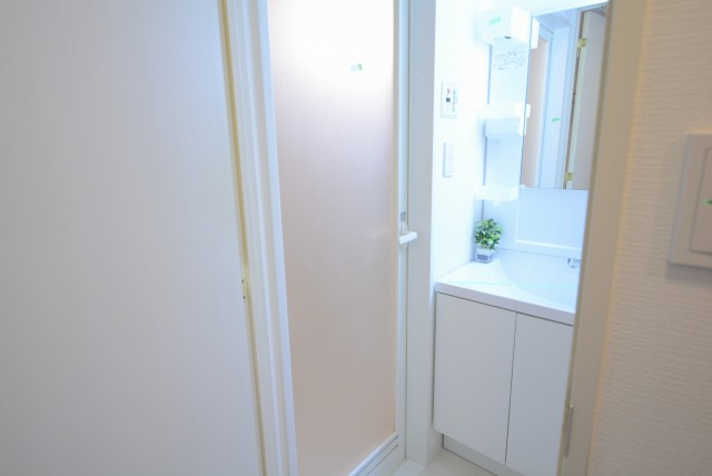 トーシンフェニックス上野毛 洗面