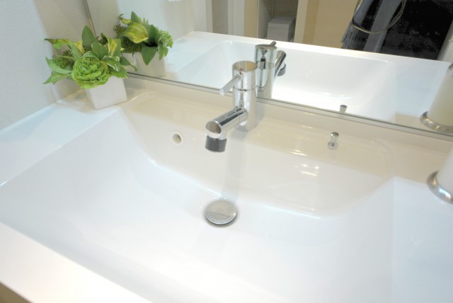 ダイアパレス中野本町 洗面