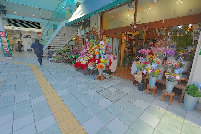 ケイオーストア