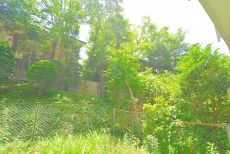 上野毛ハイム 専用庭 上野毛ハイム 専用庭