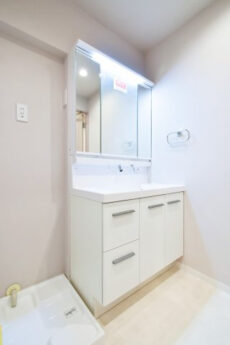 ファミネス大森 洗面室