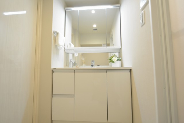 上野毛ハイム1号棟 洗面