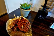 代々木エアハイツ　LD