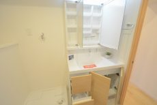 南六郷ビューハイツ 洗面