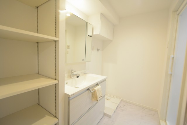 キャッスルマンション荒木町 1 洗面