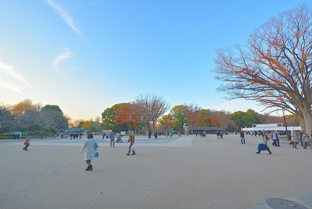 上野公園