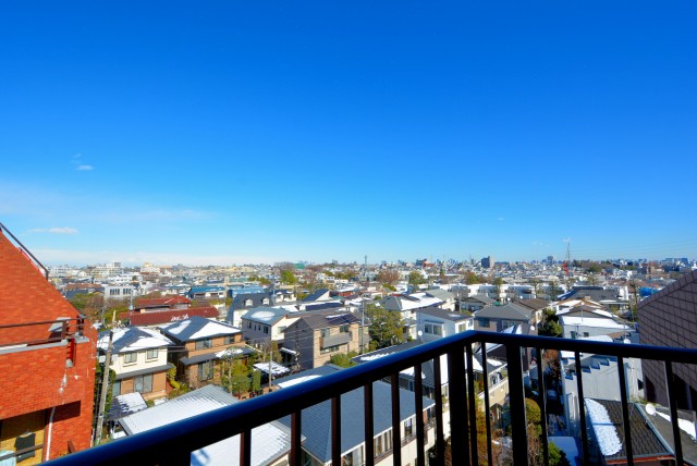 トーシンフェニックス上野毛 ルーフバルコニー