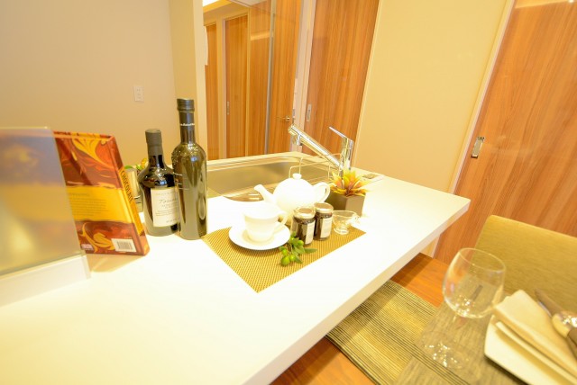 グランドメゾン目黒南 RD