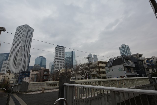 中野坂上駅周辺 (4)神田川沿い