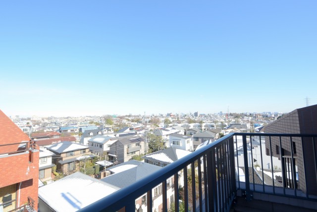 トーシンフェニックス上野毛 ルーフバルコニー