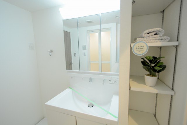 おおとりスカイホーム 洗面