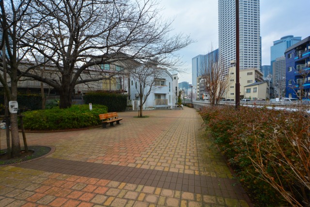 中野坂上駅周辺 (5)神田川沿い