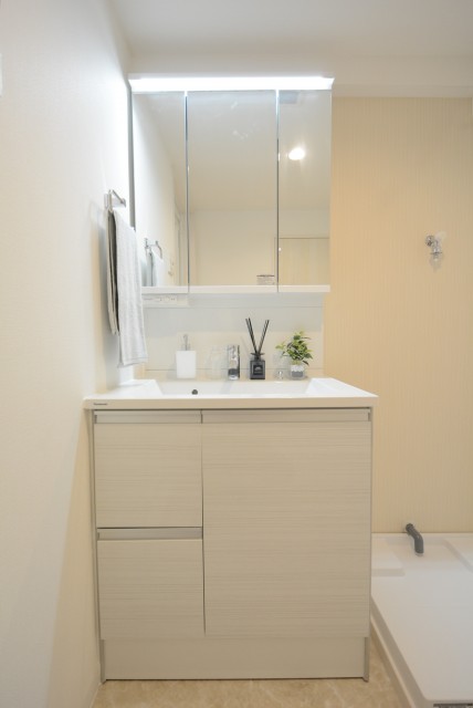 ダイアパレス自由が丘 洗面室