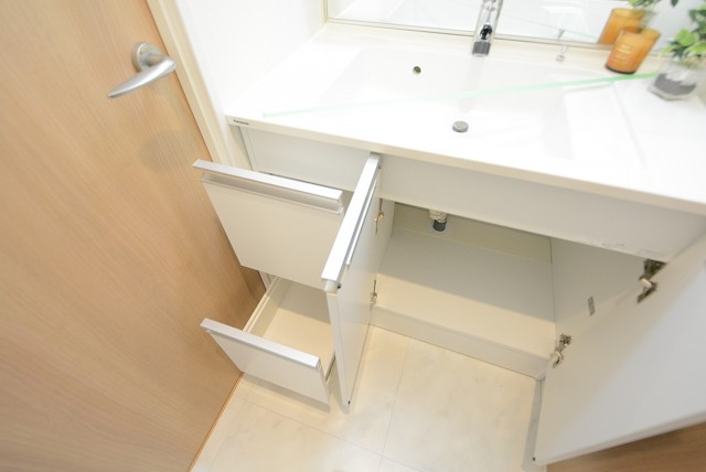 ニックハイム砧 (71)洗面