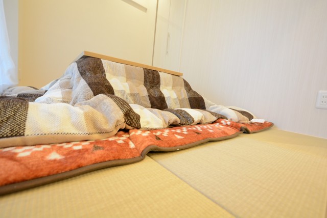 上野毛ハイム1号棟 和室