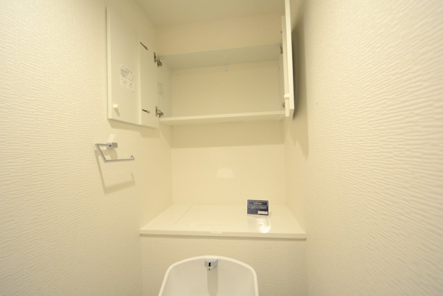 南六郷ビューハイツ (96)トイレ