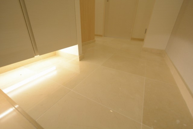 ダイアパレス中野本町　玄関