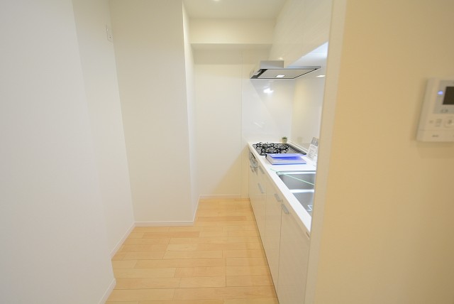 ニックハイム砧 キッチン