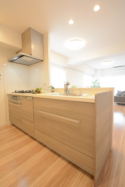 ダイアパレス自由が丘 キッチン