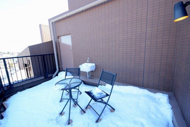 トーシンフェニックス上野毛 ルーフバルコニー