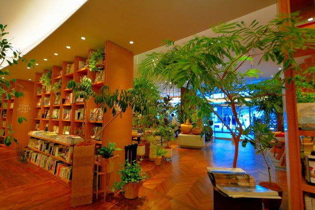 二子玉川駅周辺