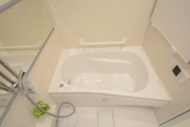 ダイアパレス自由が丘 浴室