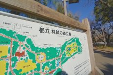 林試の森公園