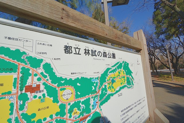 林試の森公園
