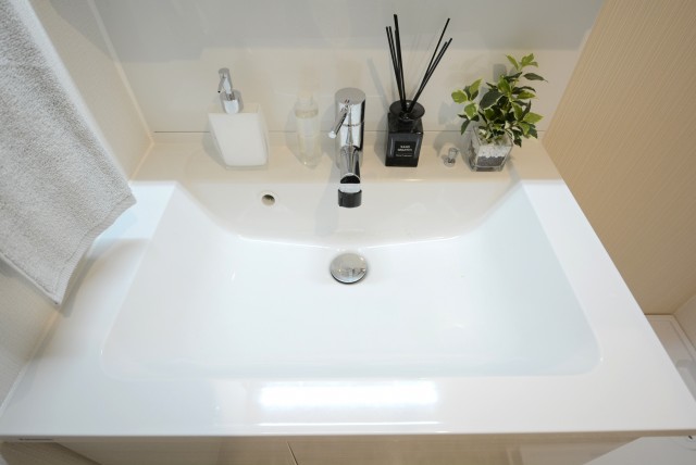 ダイアパレス自由が丘 洗面室