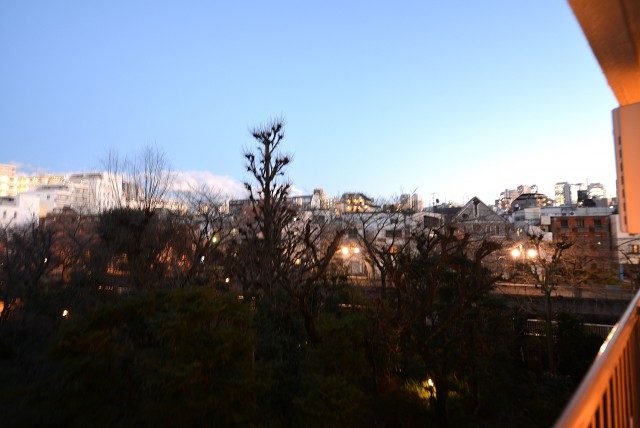 ヴィラロイヤル東中野 