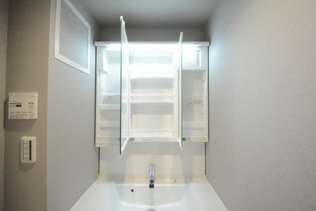 ヴィラロイヤル東中野 洗面室