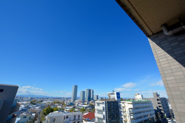 トーシンフェニックス上野毛 (113)バルコニー１