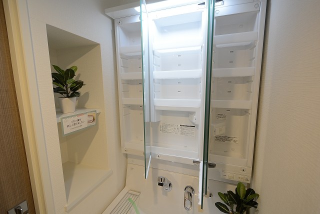 秀和大森レジデンス 洗面