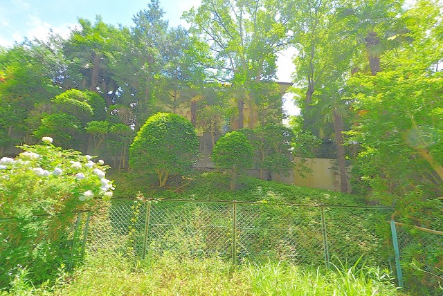 上野毛ハイム 専用庭