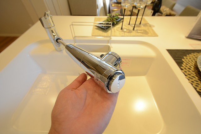 シャンボール柿の木坂 キッチン