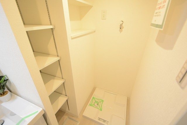 秀和大森レジデンス 洗面