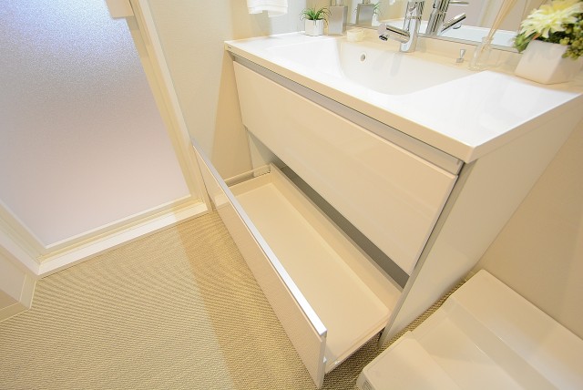 東急ドエル清水 (68)洗面