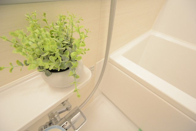 上野毛マンション バス