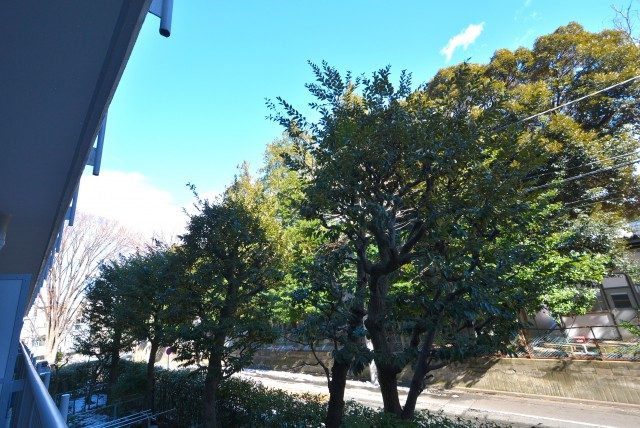 上野毛ハイム1号棟 バルコニー 上野毛ハイム1号棟 バルコニー