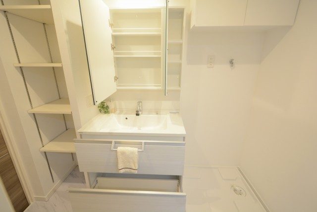 キャッスルマンション荒木町 1 洗面