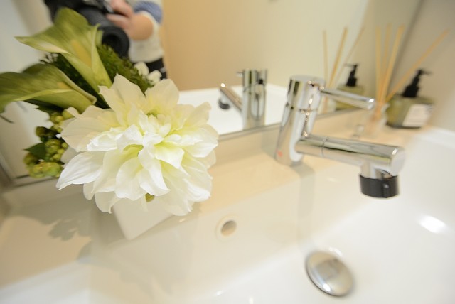 シャンボール柿の木坂 洗面