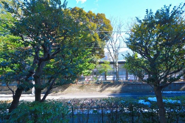 上野毛ハイム1号棟 バルコニー 上野毛ハイム1号棟 バルコニー