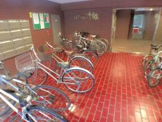 セザール エントランス