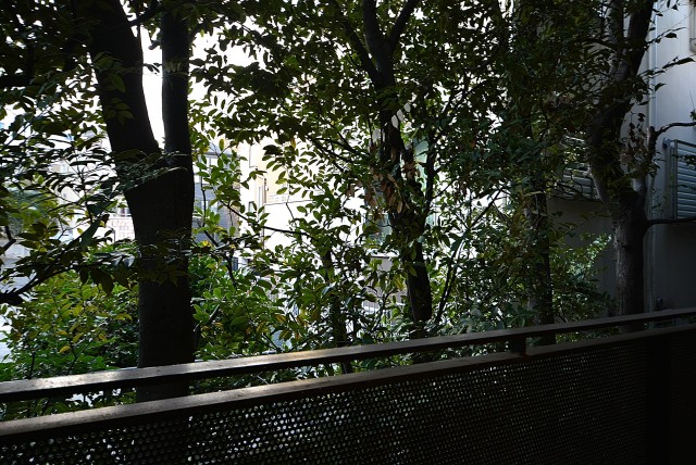 ソフィア高輪 バルコニー