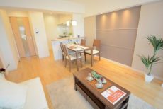 南六郷ビューハイツ LD