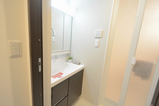 キャッスルマンション荒木町 洗面