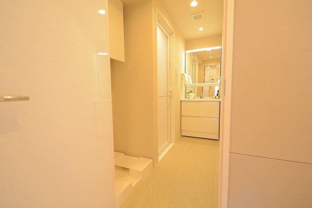 シャンボール柿の木坂 洗面