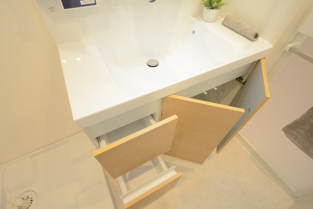 ライオンズマンション久が原第３ 洗面